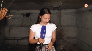 Жильцов Косарева, 15, атакуют подвальные блохи