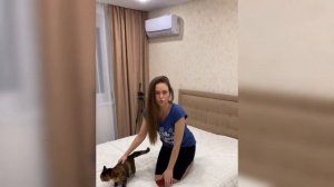 Как заставить жену готовить