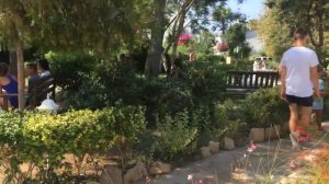 Отдых с детьми в Турции ➤ Armas Green Fugla Beach 4* || Ирина Лаванда