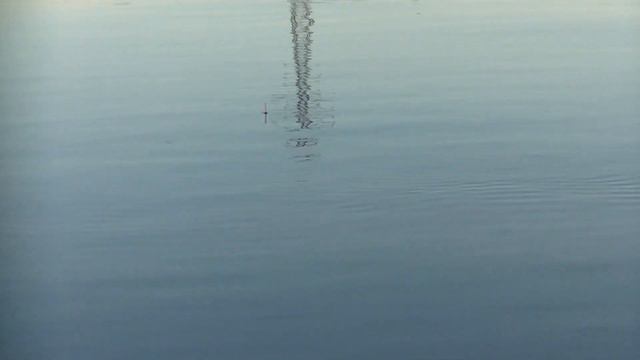 Июльская плотва на Оке в черте города. смотреть онлайн