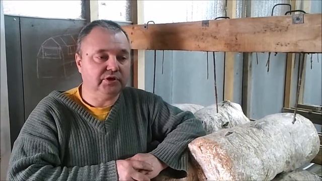 У грибов трескаются шляпки