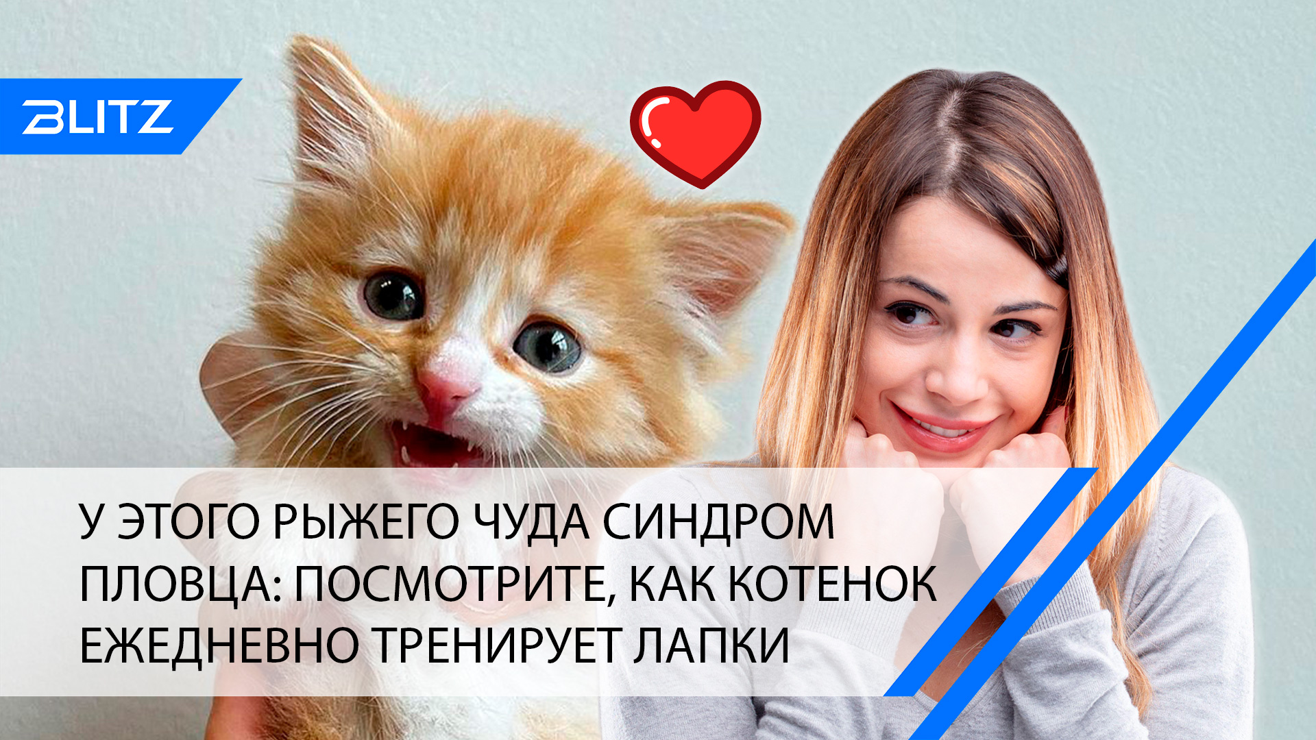 Синдром пловца у котят фото