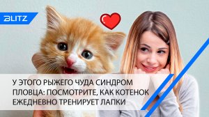 У этого рыжего чуда синдром пловца: посмотрите, как котенок ежедневно тренирует лапки