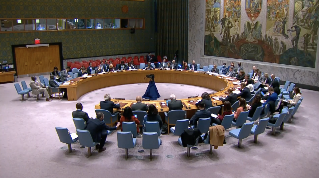 ? А.М.Евстигнеева в СБ ООН. Выступление по Южному Судану (06.03.2023)