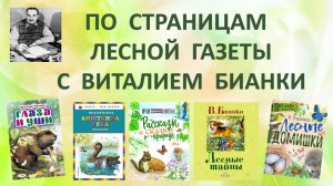К презентации по творчеству В.В. Бианки