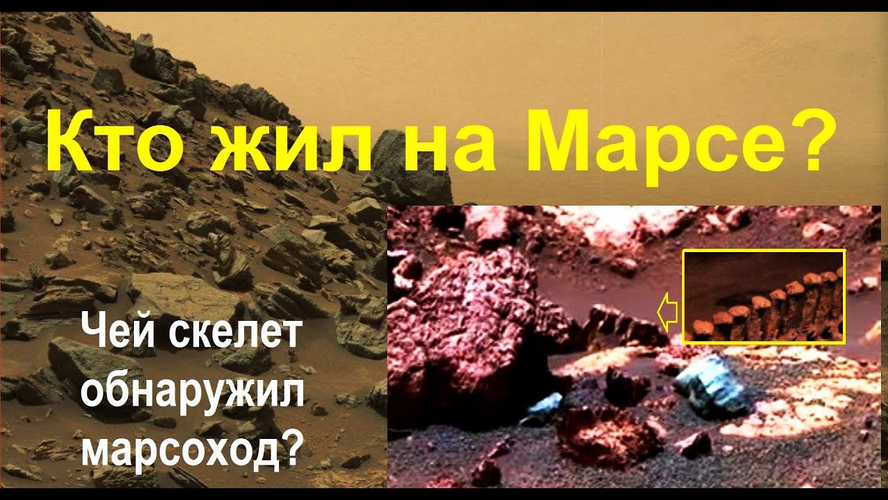 Жизнь на Марсе. Скелет Динозавра на Марсе\Life on Mars. The skeleton of Marsosaurus.