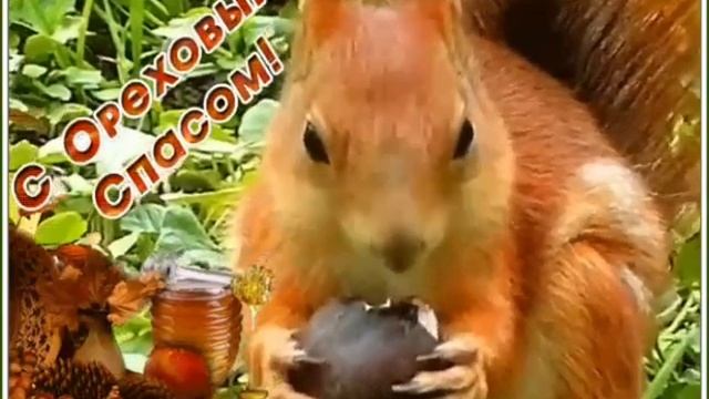 ОРЕХОВЫЙ(ХЛЕБНЫЙ) СПАС! Поздравление с Ореховым Спасом ! Спас Нерукотворный! Музыкальная открытка
