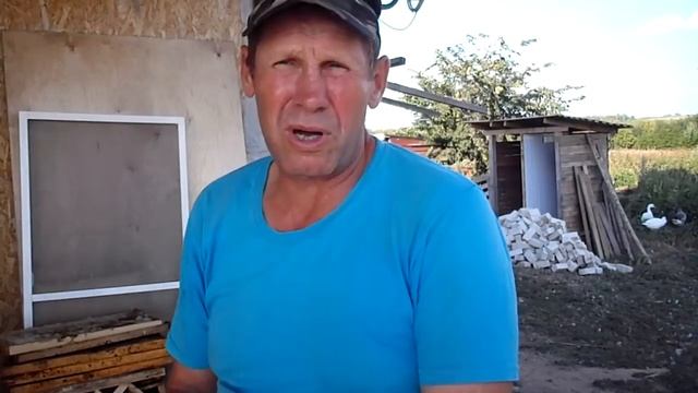 Про цесарок. смотреть онлайн