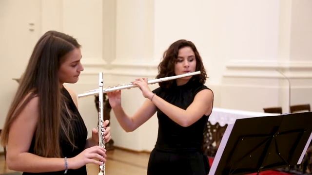 Vivaldi: Concerto for two flute in C major RV 533 - 2. Largo смотреть онлайн