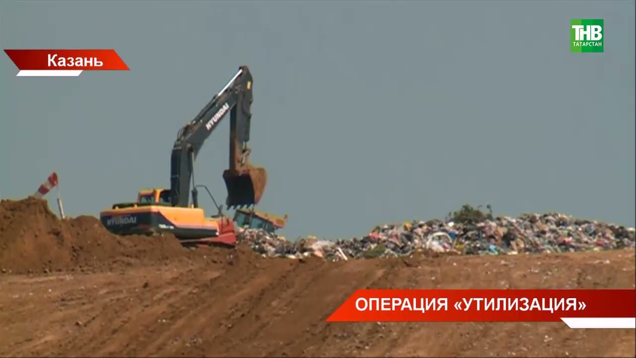 В Казани построят два компостных полигона для утилизации органических отходов