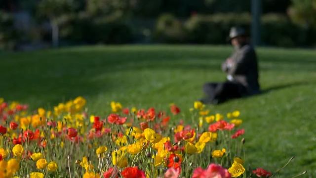 нереально красивая природа и котэ) смотреть онлайн