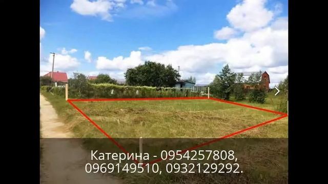 Услуги в сфере землеустройства, геодезии и оформления прав на землю смотреть онлайн