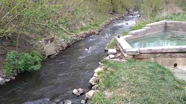 Сероводородный природный бассейн практически в центре Донецка смотреть онлайн