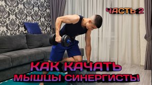 Как качать мышцы СИНЕРГИСТЫ часть 2