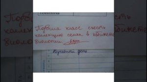шутки про школу анектоды позитив приколы