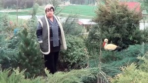 Древовидный Пион. Как Правильно Ухаживать За Древовидным Пионом