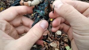 Обзор фигурки Рядовой Хадсон NECA