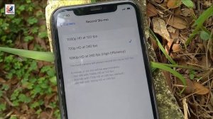 Mi 11 lite 5g vs iPhone 11 Camera Comparison Test 2022