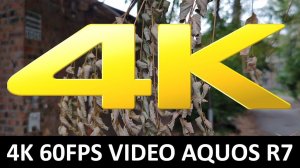 4K 60fps видео на камеру Sharp AQUOS R7