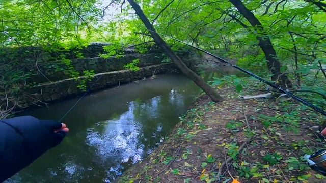 ГОЛАВЛЬ В ОКТЯБРЕ! Тараканинг в заморозки. Осенняя рыбалка! смотреть онлайн