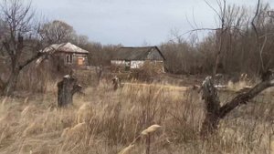 11.04.21 Воронежская область, Таловский район, посёлок Солонцовка.