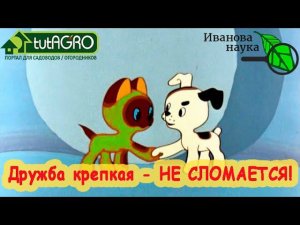 НАУЧНАЯ ПЯТНИЦА. Смешиваем разные препараты - что получится? Как смешивать Триходерму и Боверию.