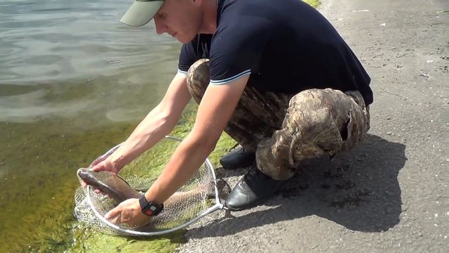 Ловля Крупного ЛЕЩА. Матырское водохранилище. (LiveFishing)