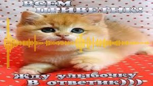 МС ПОХ — Приветик