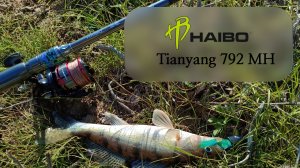 Спиннинг Haibo Tianyang S792MH и катушка Haibo Smart 4000
