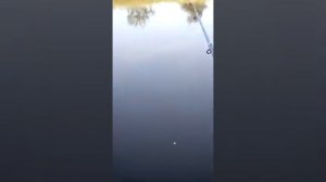 Вожгалы Кировская область рыбалка на реке Быстрица