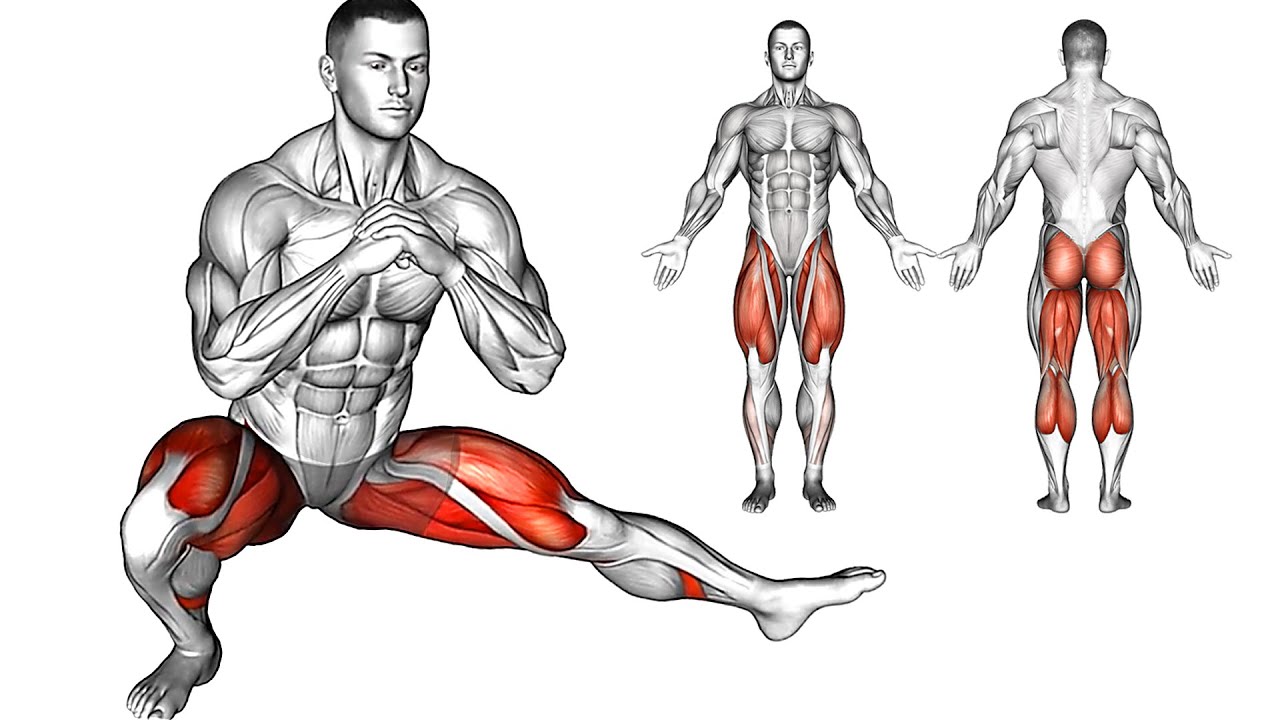 Leg muscles Workout