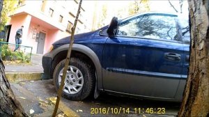 Как помыть машину из помойного ведра