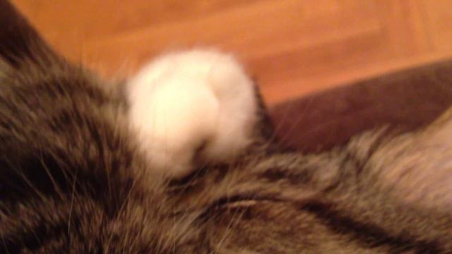 Коврик (Carpet) смотреть онлайн