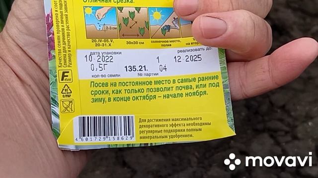 обзор клумб, люпин, ничего не обычного. 27марта2023. смотреть онлайн