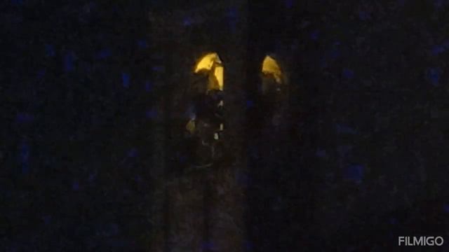 Campane di S. Cosma (PD) – BUON 2024 смотреть онлайн