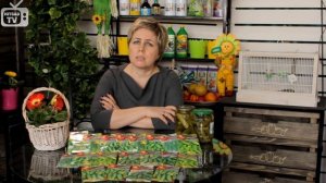 Огурцы для засолки ? Выбираем лучшие сорта огурцов ❗ Семена с Хитсад.