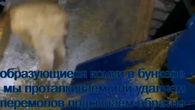 Изготовление комбикорма для кормления кур несушек из смеси экструдованого зерна.