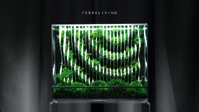 "The Oracle" - A Parametric Preserved Moss Terrarium by TerraLiving смотреть онлайн