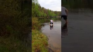 Как ловить рыбу без удочки! Гениальный способ поймать карпа без крючка!