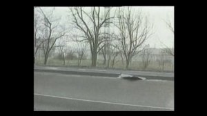 ГО при ЧС природного характера