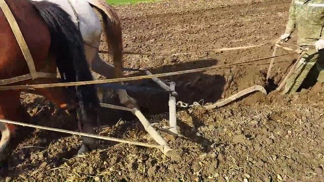 пашем огород парой лошадей смотреть онлайн