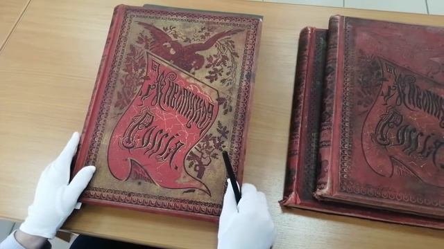 Книжные истории / Живописная Россия