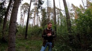 Как работают карты Таро