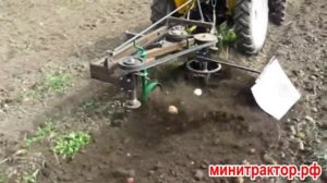 Роторный плуг-картофелекопатель для минитрактора.  Уборка картофеля