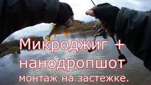 Микроджиг + нанодропшот монтаж на застежке.