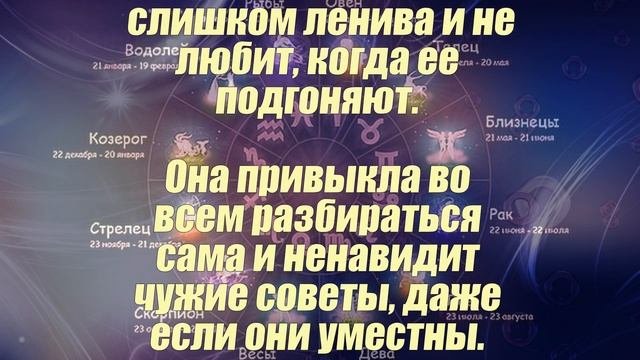 Тигр совместимость знаков