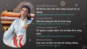 Silent Moon (月烬无声) - 胡彦斌 (Hu Yan Bin) || Till the End of the Moon (长月烬明) OST || Han/Pin/Eng Lyrics