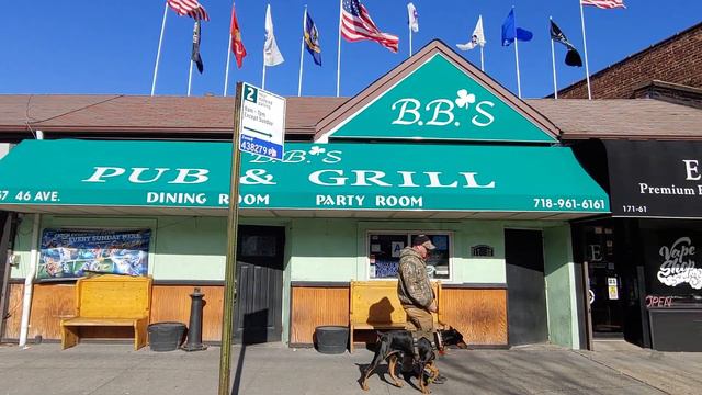 Ace the Doberman add BB's Bar and Grill in Queens New York смотреть онлайн