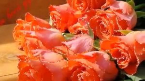 С днём рождения Татьяна