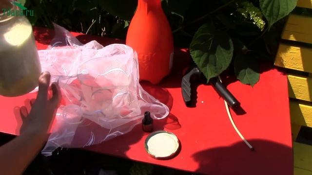 ФИТОФТОРА. Раствор для опрыскивания на основе кисломолочных продуктов - 7 дач смотреть онлайн